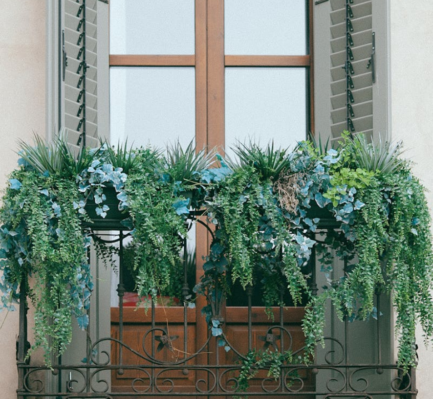 Captura de pantalla 2025-02-10 a las 17.37.01